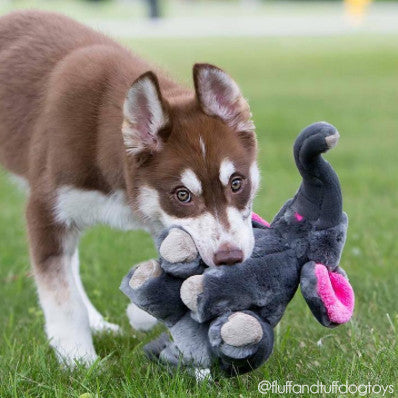 Fluff & Tuff™ "Edsel the Elephant" Dog Toy - Maxdeals77