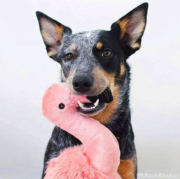 Fluff & Tuff™ "Lola the Flamingo" Dog Toy - Maxdeals77