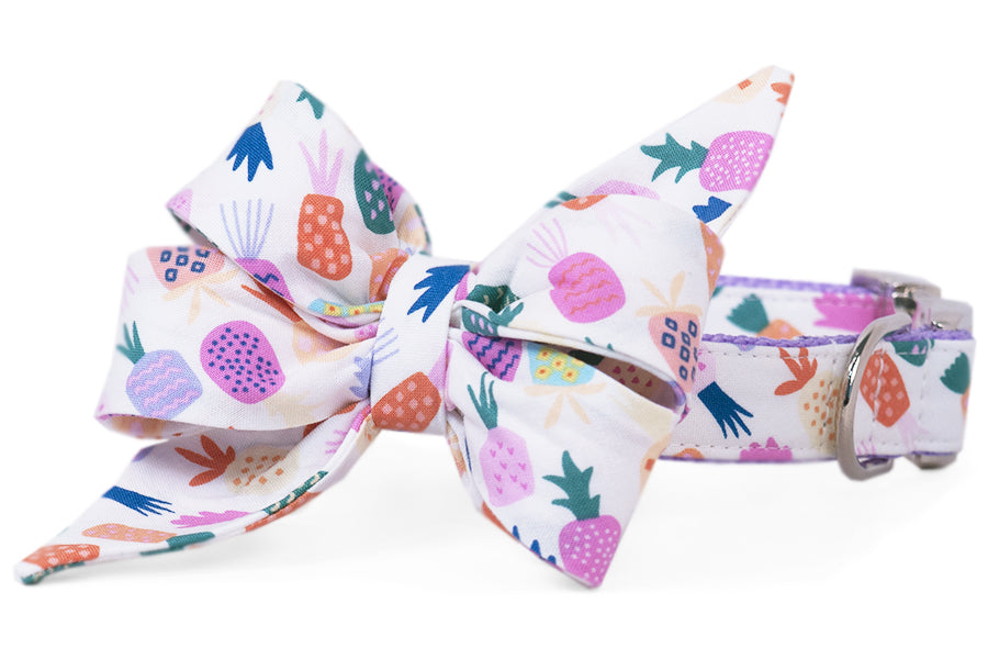 Island Party Belle Bow Dog Collar - Maxdeals77
