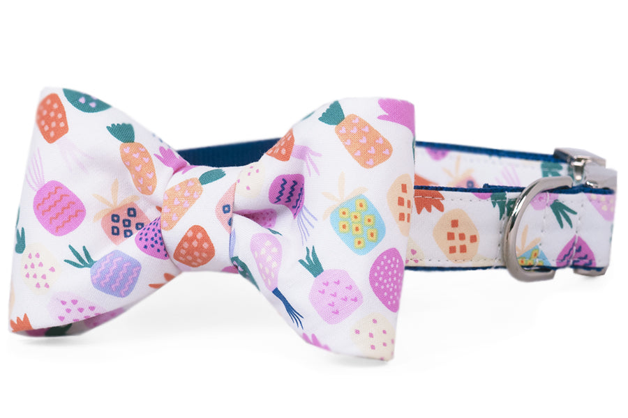 Island Party Bow Tie Dog Collar - Maxdeals77