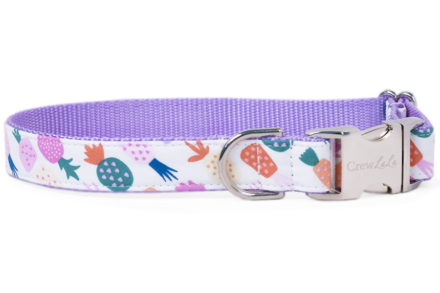 Island Party Belle Bow Dog Collar - Maxdeals77